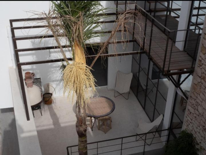 Tigmi Anis Bed & Breakfast เอสเซาอิรา ภายนอก รูปภาพ